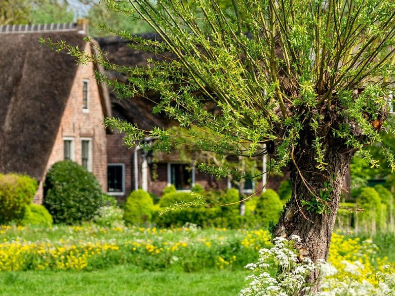 Walking: the Waterliniepad and the Floris de Vijfde path