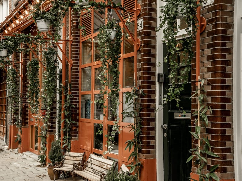 The front of Hendrik on the Ruysdaelstraat, with ivy and terracotta window frames