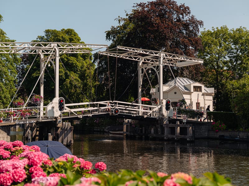 The Van Leer bridge over the Vecht, with hydrangeas in the foreground