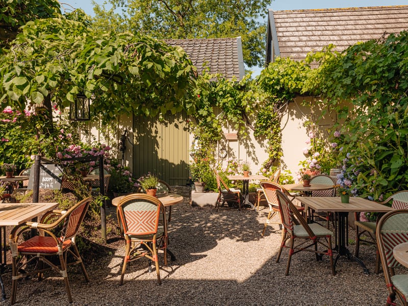 The terrace under the vine with wicker bistro chairs